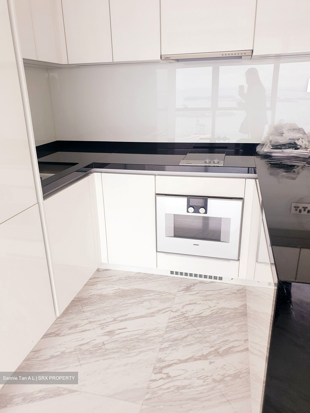 Wallich Residence  (D2), Condominium #621769321